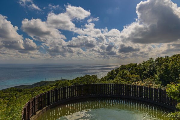 [台東]巴塱衛山2978308