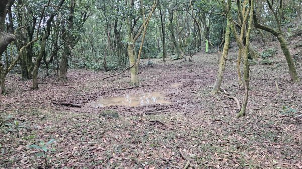 20260211庚子坪溫泉-赤石六山2997592