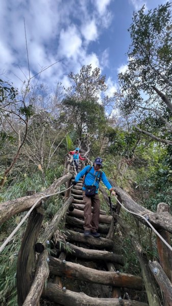 頭嵙山二嵙山O形2690504