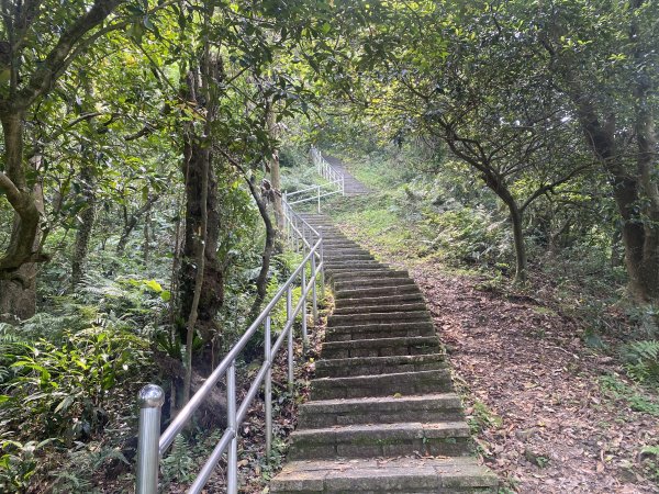 《城市與山的交界線｜大尖山連走四分尾山》O繞路線＋秀峰瀑布＋遇見養蜂人🐝3056641