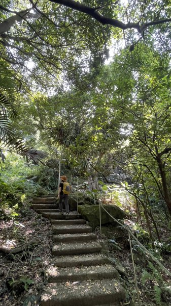 孫龍步道>光明山稜線>牛灶坑山>鶯歌石步道Ｏ型健走1863993