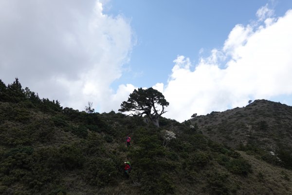 用雙腳看台灣-大南三段-六順山~七彩湖580635