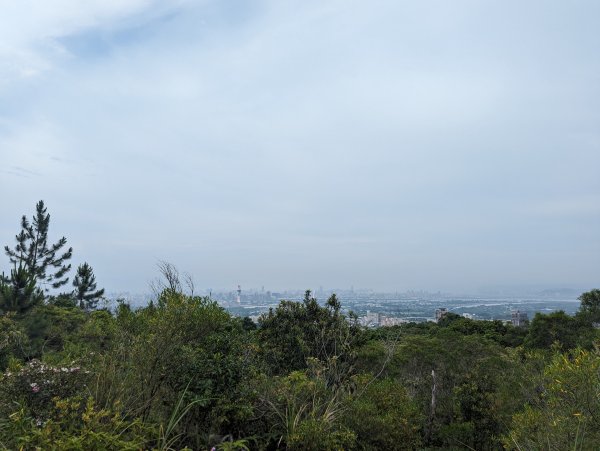 2024-05-12 軍艦岩、丹鳳山越野跑2793765