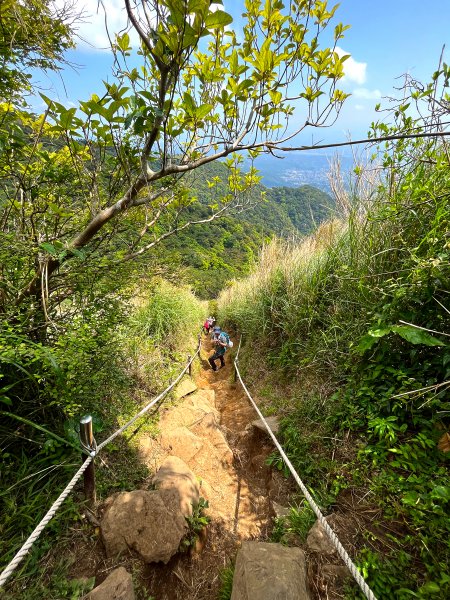 2022-4 台北大縱走第2段-大屯群峰至小油坑1693511