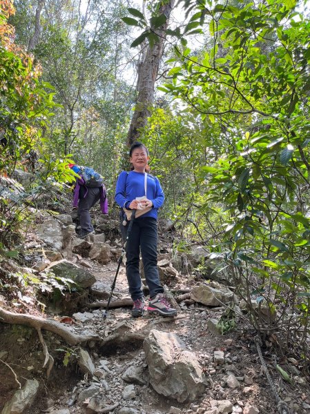 【谷關七雄 7】老么 唐麻丹山 H1305m；蝴蝶谷瀑布 H880m1656847