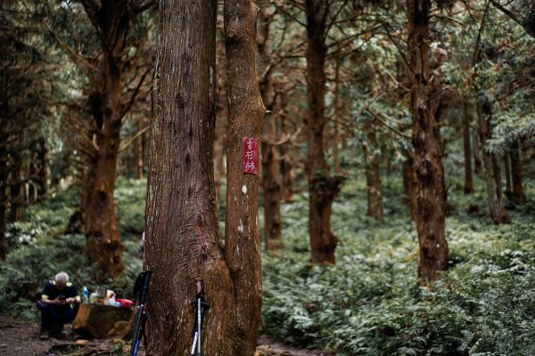 帶媽媽爬長壽山2669491