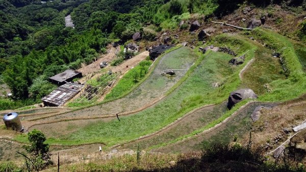 大崎頭梯田,坪頂古圳2208619