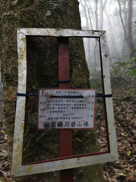 步道巡訪員 l 鳥嘴山步道 4 月巡訪日誌904038