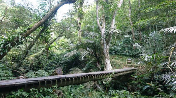 打鐵寮古道-石厝坑山-白石山306076