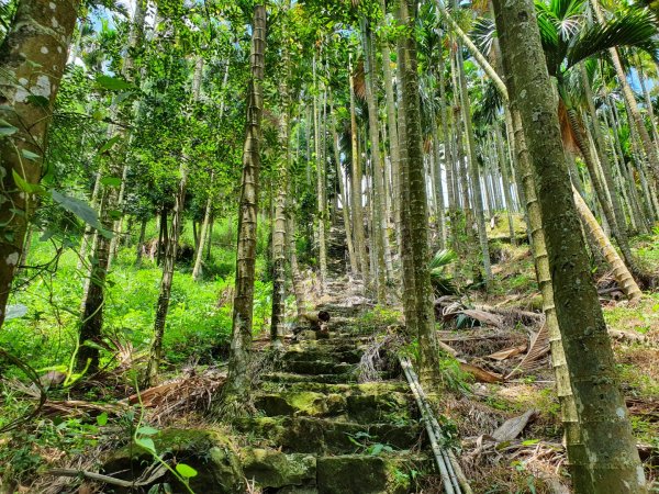 華山10號系列步道1037298