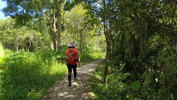 (姨婆趴趴走)第二十一集:桃園復興高遶溪古圳步道、新柑坪山、牛背岩環狀縱走2252297