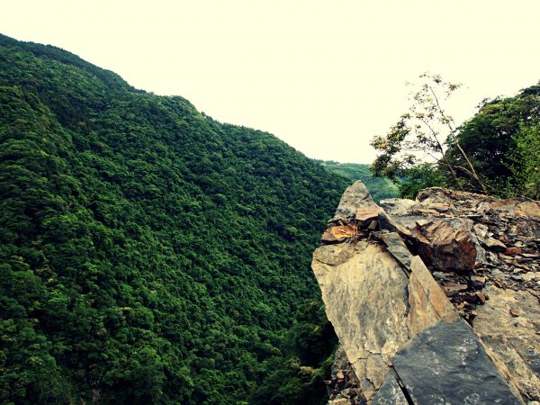 小錦屏野溪溫泉-心脾透暢614043