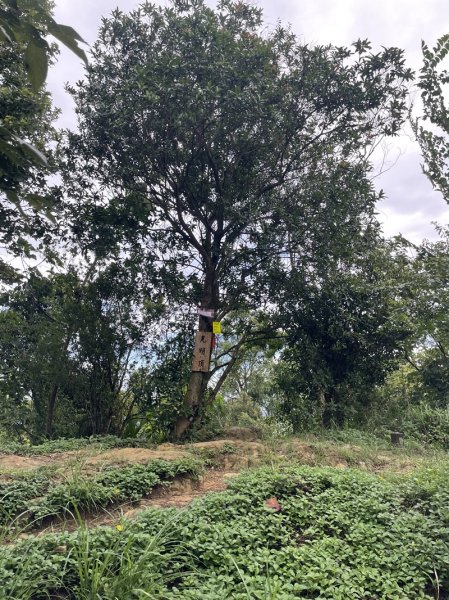 【天上山系】烘爐地土地公段2848194