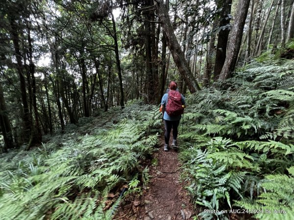 民都有山就是漂亮的夏天冷氣房2582248