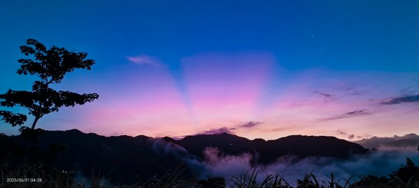 跟著雲海達人山友追雲趣 #草莓月亮 #月圓雲海 #霞光 #日出雲海 #茶園 6/112808766