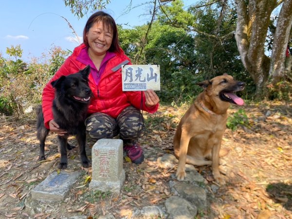 高雄美濃月光山2734957