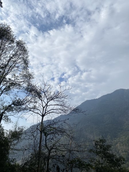 馬崙山11202103059268
