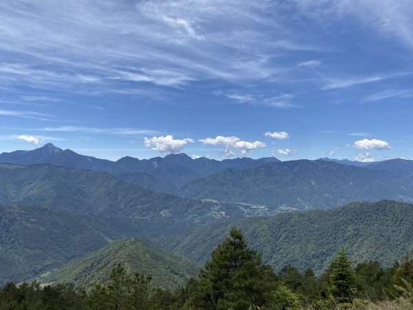 20200620-21 雪山主東峰步道1008488