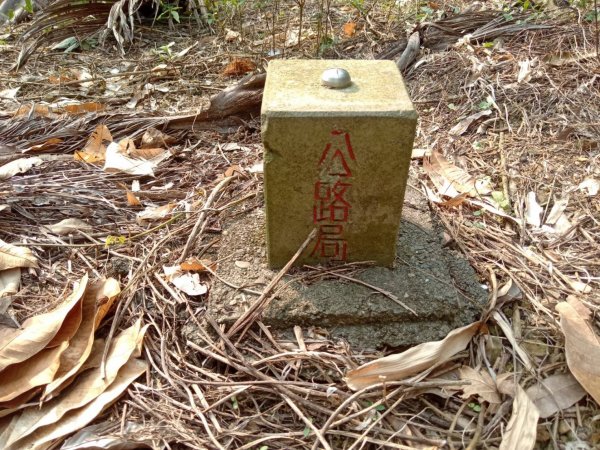 20210828南投國姓樟湖山、龜子頭山南峰、柑子林山、公司頂山、昌榮巷山基石1531175