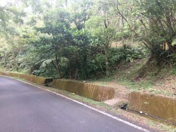 雙溪區豹子廚越嶺保甲路+北豹子廚山+中坑東山稜線O型2880071