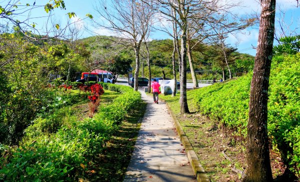 洄瀾東海岸3006642