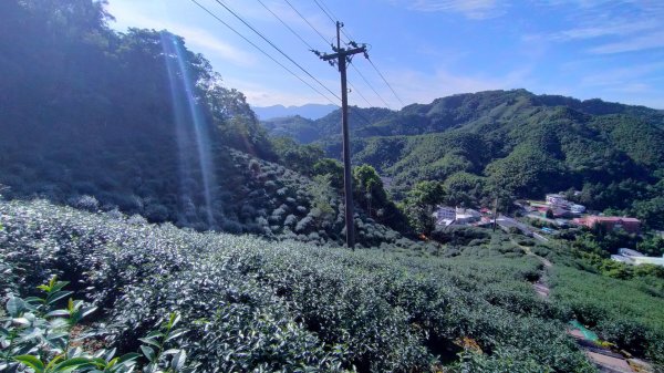 雲嘉五連峰2254921