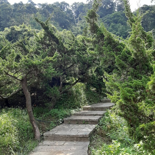 小百岳寶石〡No.14 土庫岳995847