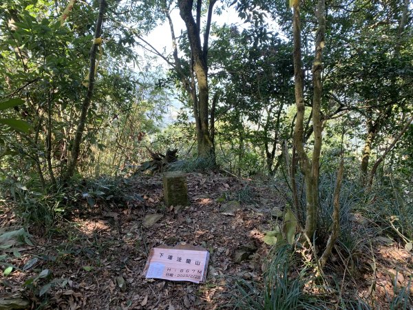 20250228屏東達洼蘭山-下達洼蘭山2732890