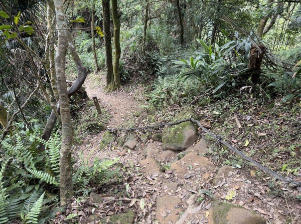 [微笑山線_第八段] 2026_0411 二格山系_筆架山南峰3035189