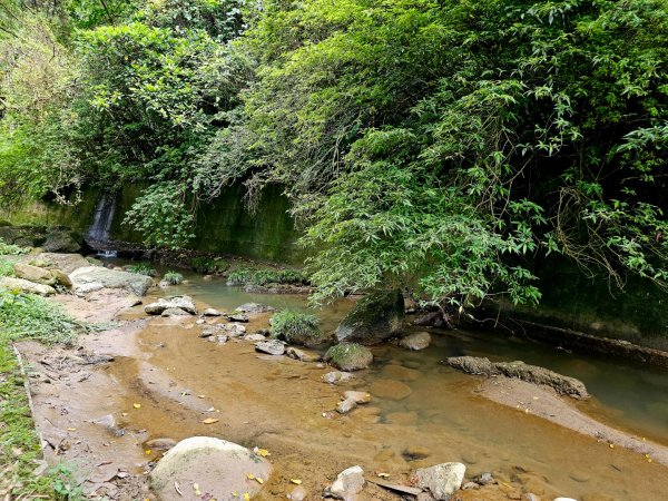 四寮溪生態步道-2025森遊竹縣皮皮獅探險隊2889110