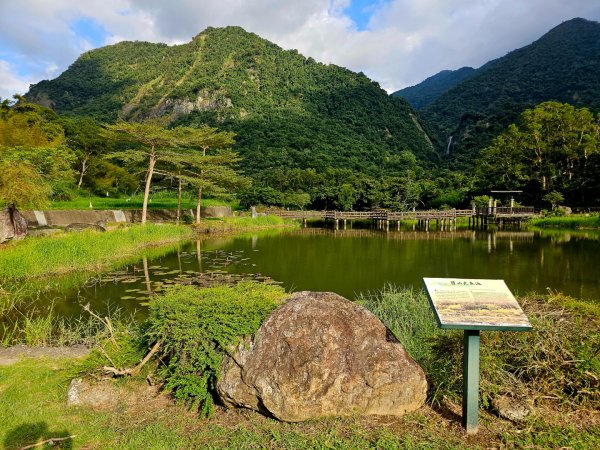 羅山村竹林步道-2025漫遊縱谷愛在花東-花蓮縣富里鄉2916735