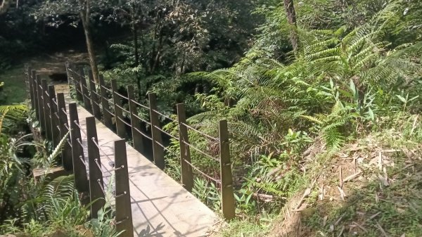 平溪區碩仁里-幼坑古道-幼坑山-幼坑山南鞍-大平林山-番子坑生態園區-番子坑3086156