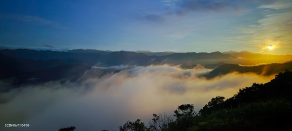 跟著雲海達人山友追雲趣 #草莓月亮 #月圓雲海 #霞光 #日出雲海 #茶園 6/112808821
