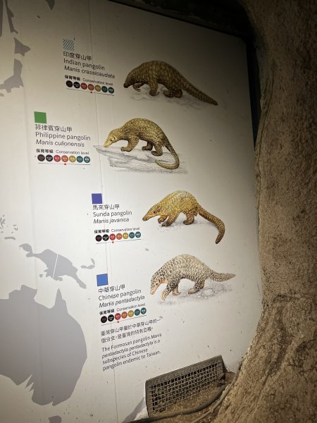 [2024動物園探險隊] 2024_0908_臺北市立動物園(祖父母節)2590231