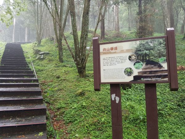 東眼山國家森林遊樂區106/04/23121236