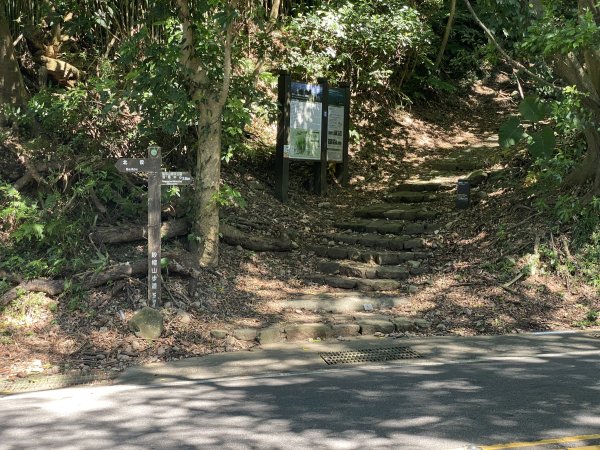 2024/09/16 天母古道（水管路） 紗帽山2884406