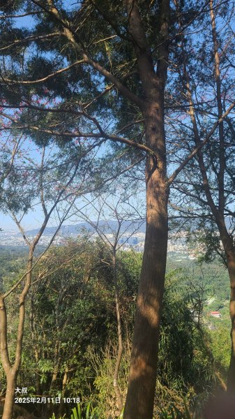 2025-0211造鎮_太極嶺_五城山小段攀爬路線2710733
