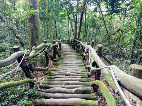頭嵙山(小百岳#41)大坑4,5,1步道1003723