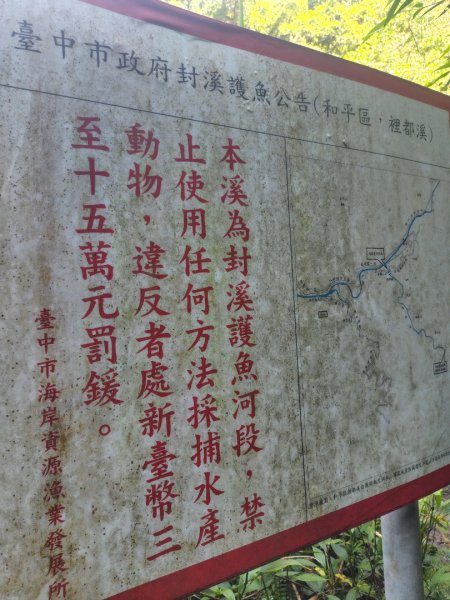 唐麻丹山 蝴蝶谷2918976