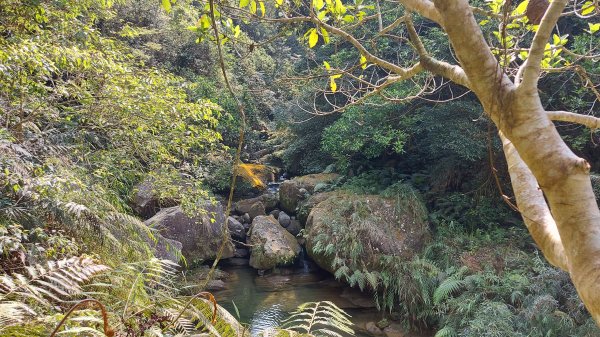 暗影山仙女線 仙女南稜線 南稜線 北稜線 1051峰光明嶺線O型1323033