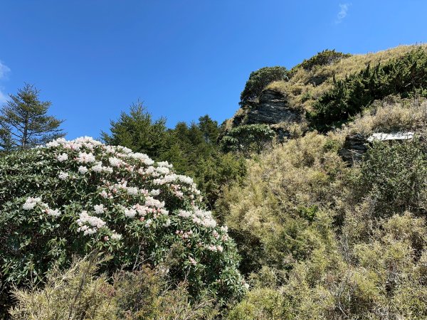 小奇萊步道2777628