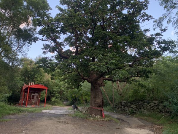 20251006屏東老佛山-老佛山西峰2907876