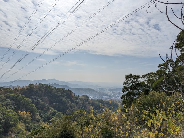 2023-02-04 大坑9、10號步道2792384