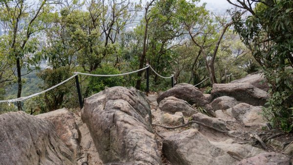 內湖金面山步道890440