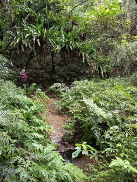雷公埤山-鱷魚島觀景-小格頭獅頭山2001511