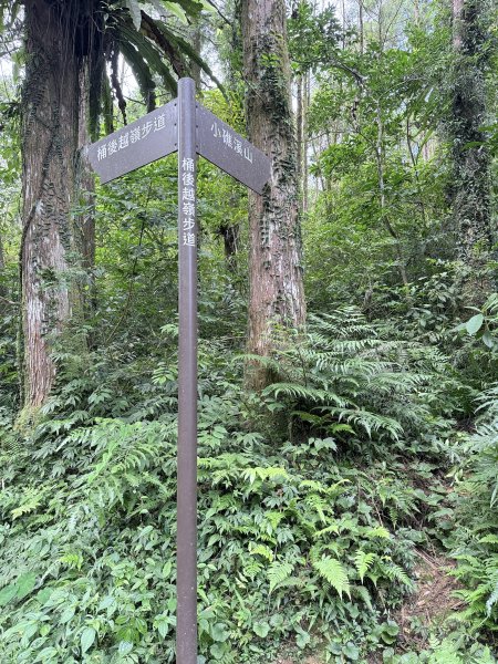 桶後越嶺道悠遊（烏來－礁溪）    2025.7.52827983