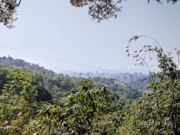 20250309 南觀音山步道 & 青春嶺2731498