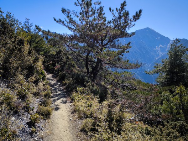 2026-02-09 庫哈諾辛山2998968