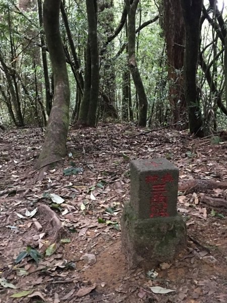 大雪山稍來南峰434705