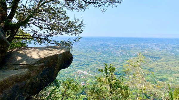 龍麟山登山步道2730765